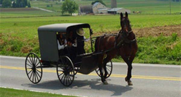 Vermont Company Garnering Sales from Unlikely Pairing: Pennsylvania Amish Skills Join with Handwork from India to Give Chandler 4 Corners Distinct Furniture Line